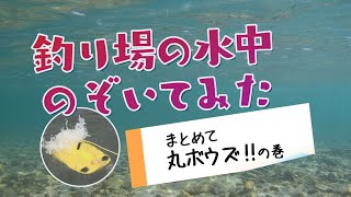 釣り場の水中のぞいてみた「まとめて丸ボウズ‼の巻」