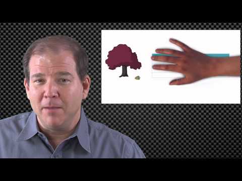 Free Cisco CCNP Routing and Switching Training Playlist