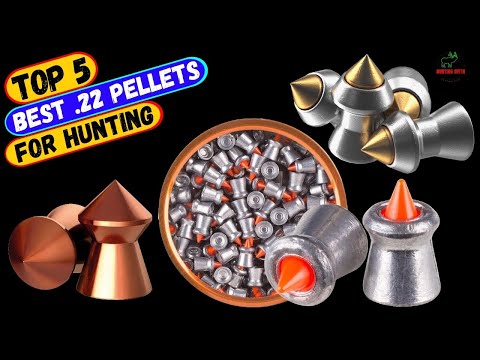 Best .22 Pellets For Hunting To Buy In 2024