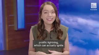 Americas monsoon is vital to the Southwest heres why