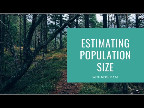 Estimating Population Size Using NEON Small Mammal Data