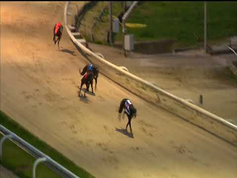 Clares Kyletaun - Coral Regency Heat 6 Hove 26/04