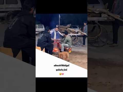 මෙහෙම මිනිස්සුත් ඉන්නවද 😉💖