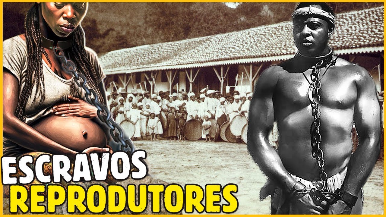 Segredos imundos e Perturbadores sobre os Escravos Reprodutores