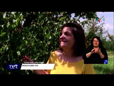 Nicoleta a absolvit Horticultura și are o livadă la Ticvaniul Mare #stiriregionale @TVRTM