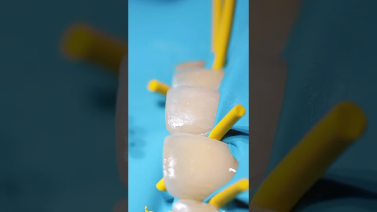 Alejandro Daniel Montiel Garcés-6