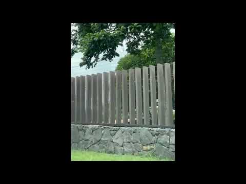 Thumbnail for video LgDvR9A_MzM