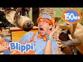 Blippi Meets A Sleepy Sloth Wacky Zoo Adventure For Kids Educational Videos For Kids