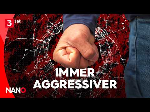 Video Thumbnail: Warum wir immer wütender werden I NANO