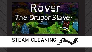 Steam Cleaning - Rover The Dragonslayer