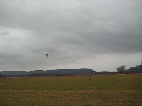 Wilde Hilde 18 01 2009 