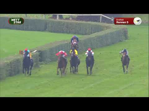 Krefeld  Rennen 05  14  November 2021 Großer Preis der Wohnstätte Krefeld Gruppe III Boden: weich