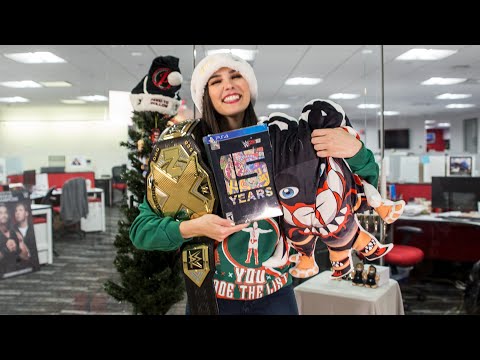 2017 Google Shopping Search Leaders for WWE and more