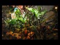 Macy S 2012 Flower Show Philadelphia