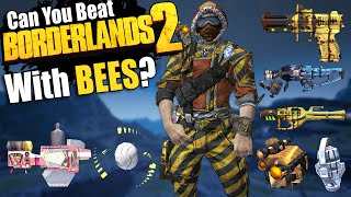 Can You Beat Borderlands 2 With Bees?
