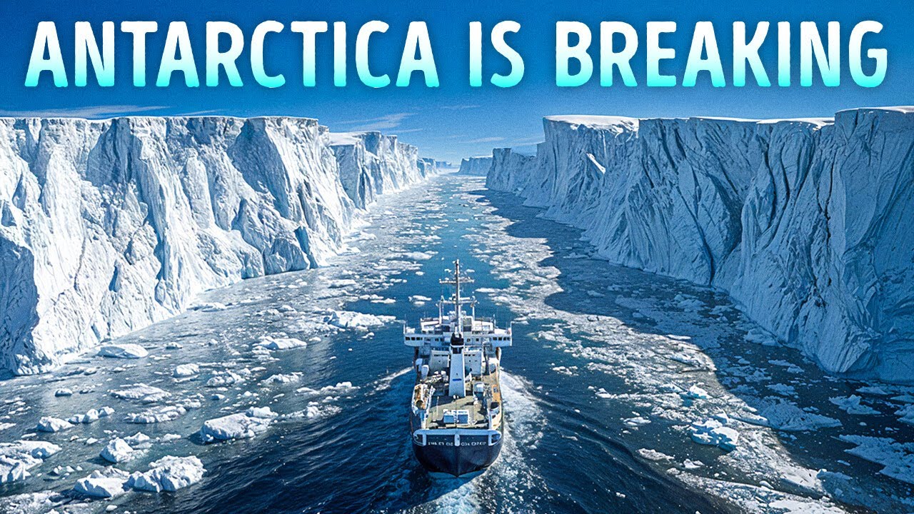 Scientists Finally Explained These Creepy Ocean Sounds