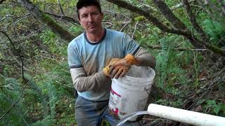 Water Off Grid Homestead Project