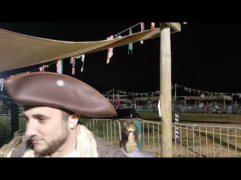 T.U.G. Cooper vs. Pitfall Jones