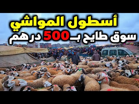 سوق طايحه فيه 500 درهم مباشرة من سوق ثلاث سيدي بنور 28/4/2026