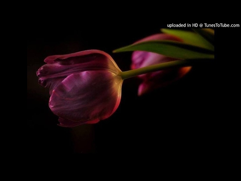 Bomi Martiora - Fitiavana (Audio)