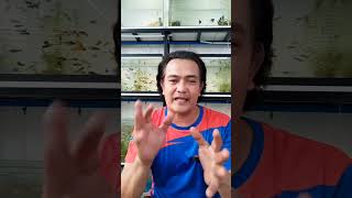 BAWAL MAGPALIT NANG TUBIG SA AQUARIUM 100%