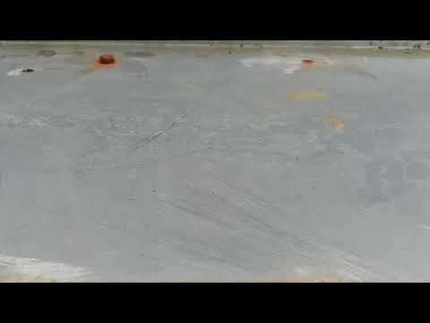 XHDATA D-808 vs TECSUN PL310et, KBS, SEOUL, South Korea