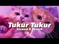 Tukur Tukur -Dilwale (Slowed n Reverb)