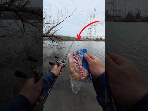 Fishing a Cinnamon Roll for River Monsters