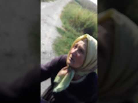 Afacerile primarului Gheorghe Breazu din comuna Putineiu