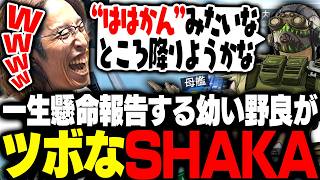 一生懸命報告する幼い野良がツボなSHAKA【Apex Legends】