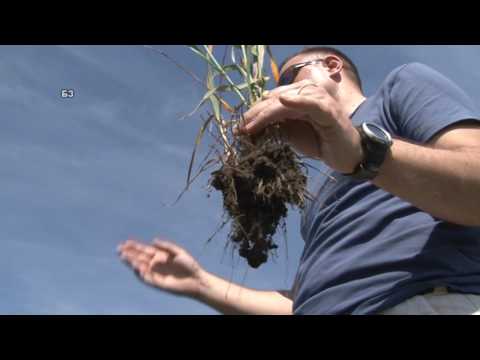 Bolja zemlja za 03.6.2017.