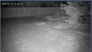 Thumbnail del capítulo