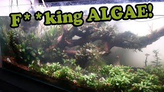 What it takes to tear down an ALGAE INFESTED TANK.