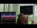 Monkey MindPong Picture In Picture