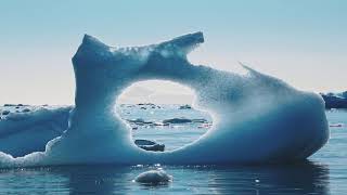 Silversea Cruises: Get Polarized Silversea Cruises: Get Polarized