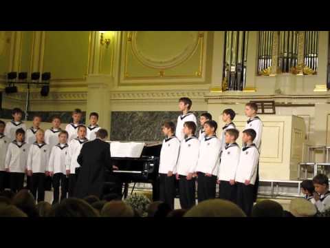 Vienna Boys Choir - Binati Suniye