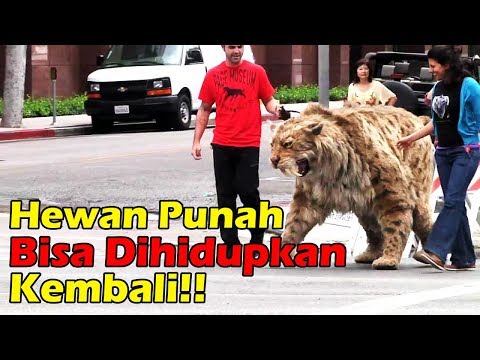 Gokil Hewan Punah Ini Bisa Dihidupkan Kembali Kaskus