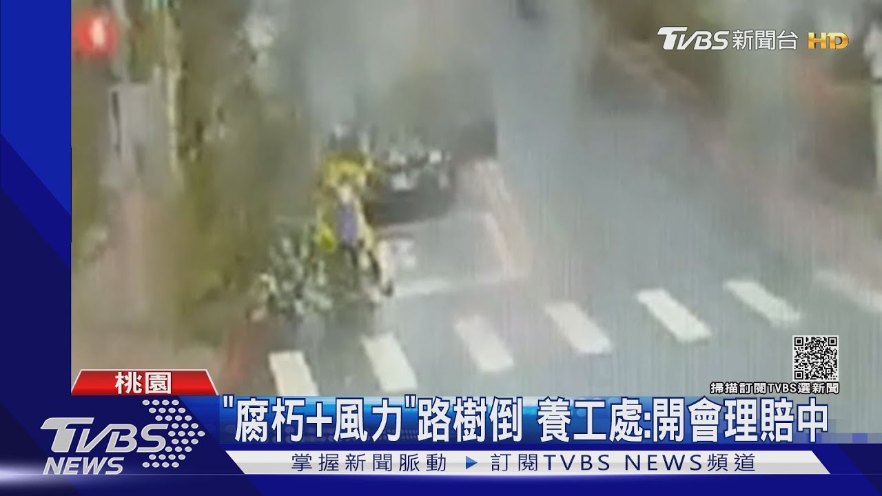 白蟻入侵！路樹突倒壓外送員　駕駛神救援