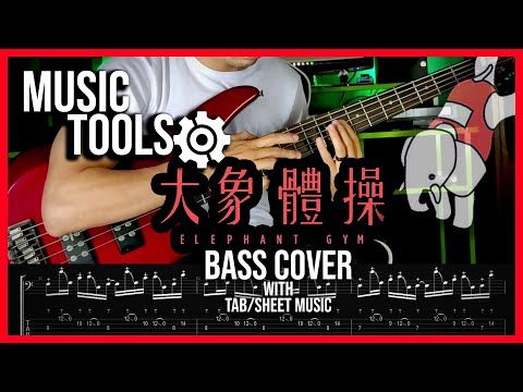 Elephant Gym - Underwater | Bass Cover | Styfler Fonsek