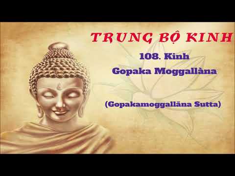 108 - Kinh Gopaka Moggallàna - Gopakamoggallāna Sutta