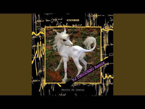 Video thumbnail for Faccio un casino (TJ Unicorno Extended Mix)
