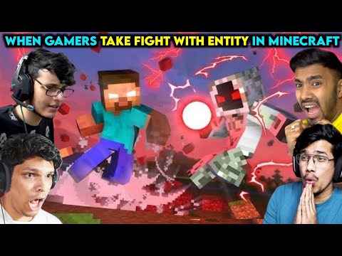 When Gamers Take Fight With Entity in Minecraft || Take Fight With Entity
