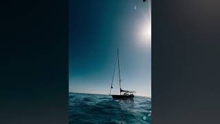 Download lagu 🦈🚨 MEGA SHARK ALERT?! 😱 This Is NOT Your Average Day at Sea! 🌊💥 mp3 Download lagu 🦈🚨 MEGA SHARK ALERT?! 😱 This Is NOT Your Average Day at Sea! 🌊💥 mp3