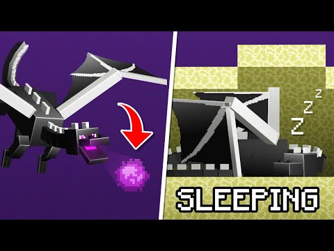 10 Ender Dragon Secrets You Didn't Know in Minecraft 1.16!