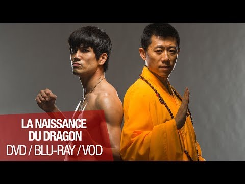 LA NAISSANCE DU DRAGON - Disponible en DVD, BLU-RAY et VOD !