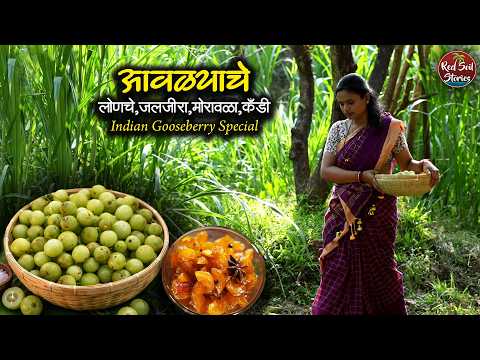 आवळ्याचे लोणचे, जलजीरा, मोरावळा, कँडी Recipe - Indian | Medium | Serves 8 आवळ्याचे लोणचे, जलजीरा, मोरावळा, कँडी - Indian recipe that serves 8 people. A medium difficulty cooking recipe converted from YouTube video with complete ingredients and step-by-step instructions.