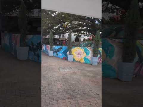 Alcala Valle    #alcala #valledelcauca #familia #williamarias #reflexionesdeldia #turismo