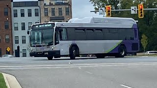 GRTC 2024 Gillig BRT CNG 2330 On Route 19