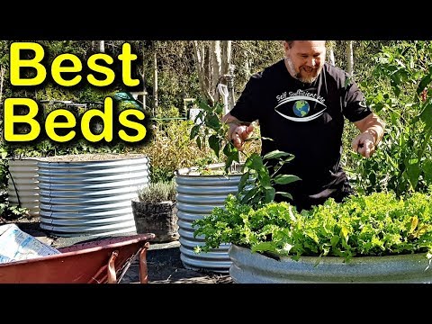 5 Reasons to Use THIS Bed for Growing Vegetables – Best Raised Gardening Video
