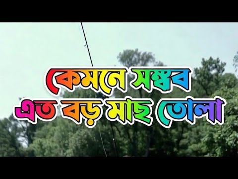 Unbelievable Big Catch Fishing In The Deep Sea With Big Boat. Frozen Fish Cutting Processing Line